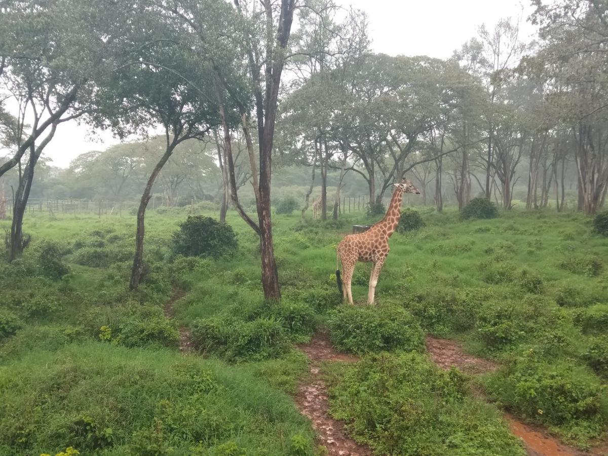 Elimurk Bnb Near Jkia N Sgr Nairobi Luaran gambar
